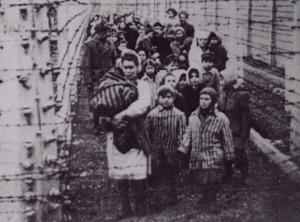 Holding hands, Eva and Miriam lead other twins out of Auschwitz in 1945